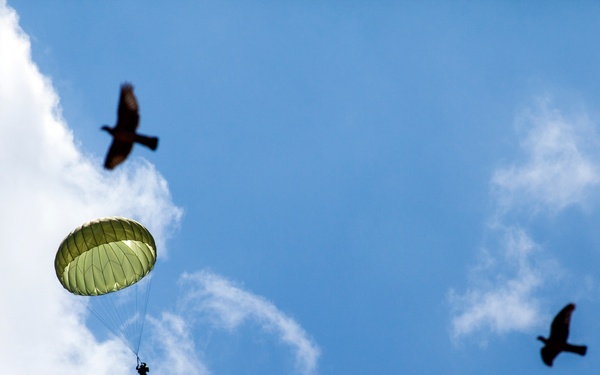 Operation Skyfall - Deutschland