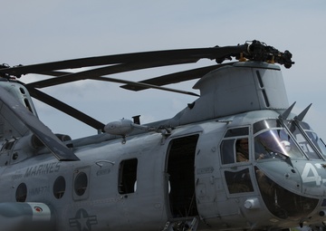 Last of the Phrogs (CH-46E)