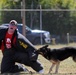 Working dog competition tests skills, builds camaraderie