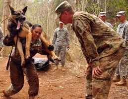 Working dog competition tests skills, builds camaraderie