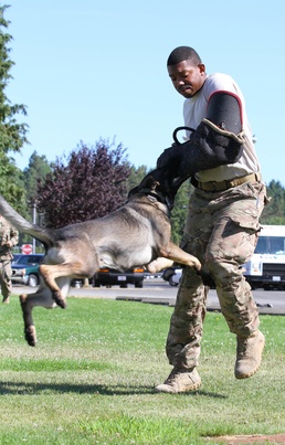Puppy to police dog