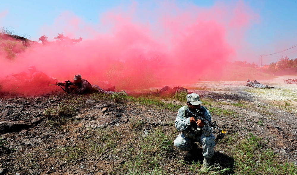 Wolf Pack combat readiness training