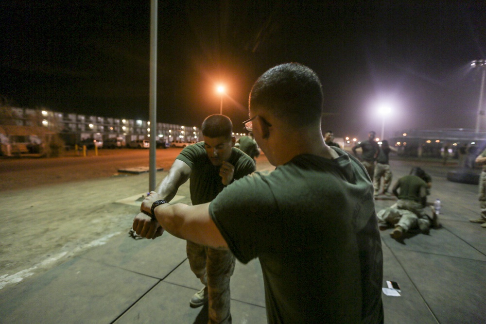 Hand-to-Hand: U.S. Marines practice unarmed combat