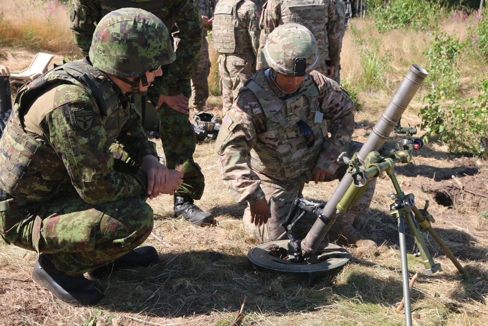 Mortar call for fire live exercise