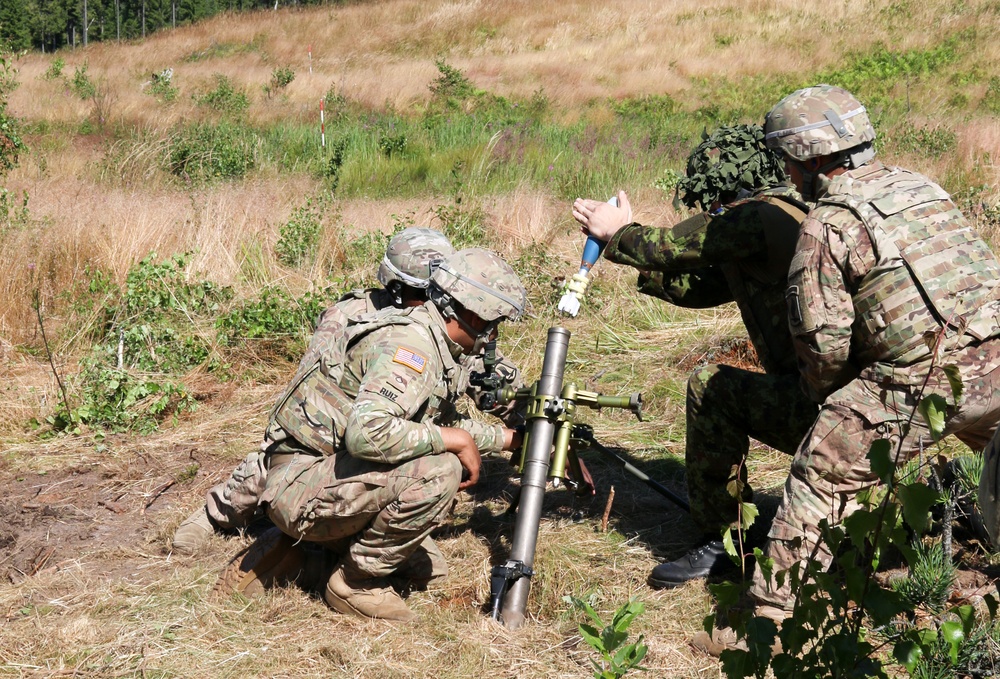 Mortar call for fire live exercise in Estonia