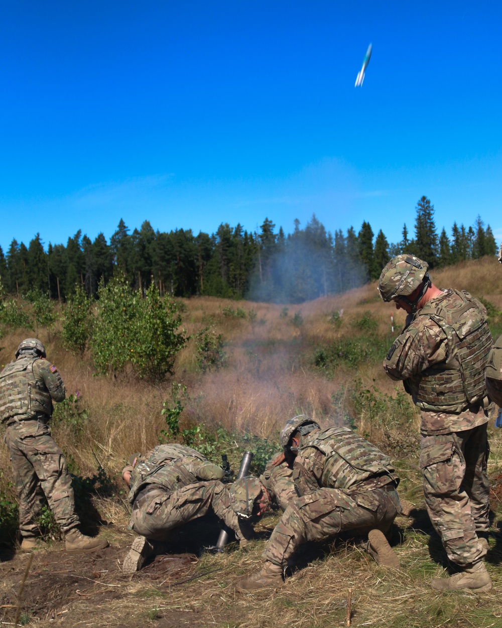 dvids-images-mortar-call-for-fire-live-exercise-in-estonia-image-6