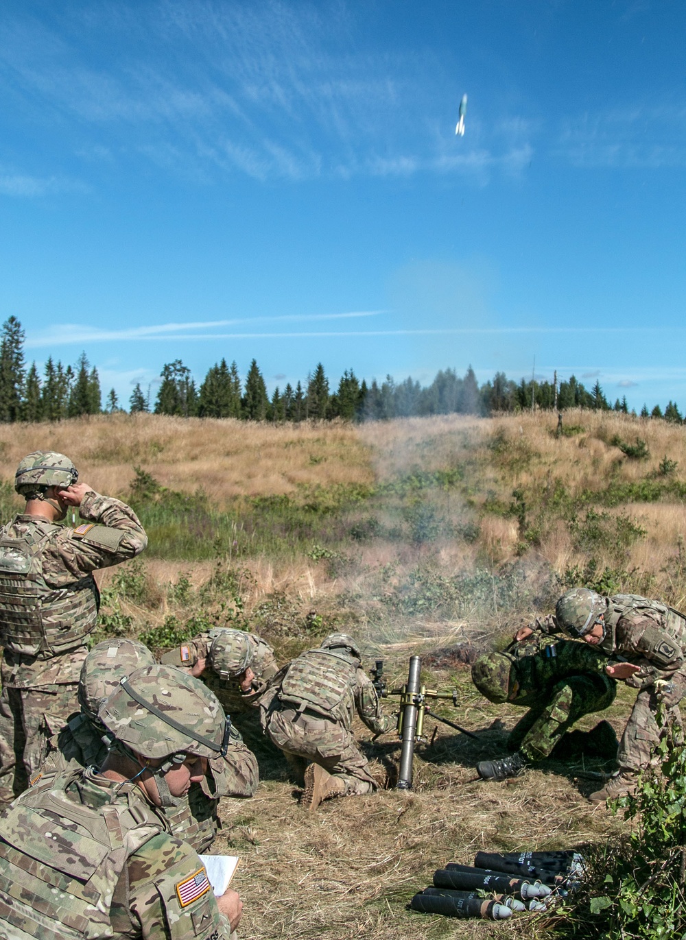 Mortar call for fire live exercise in Estonia