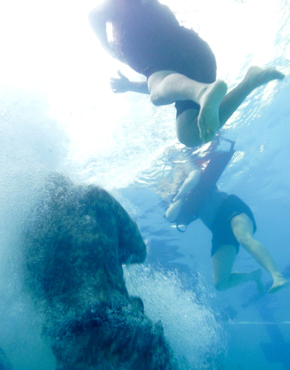 Soldiers conduct water survival training