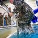 Soldiers conduct water survival training