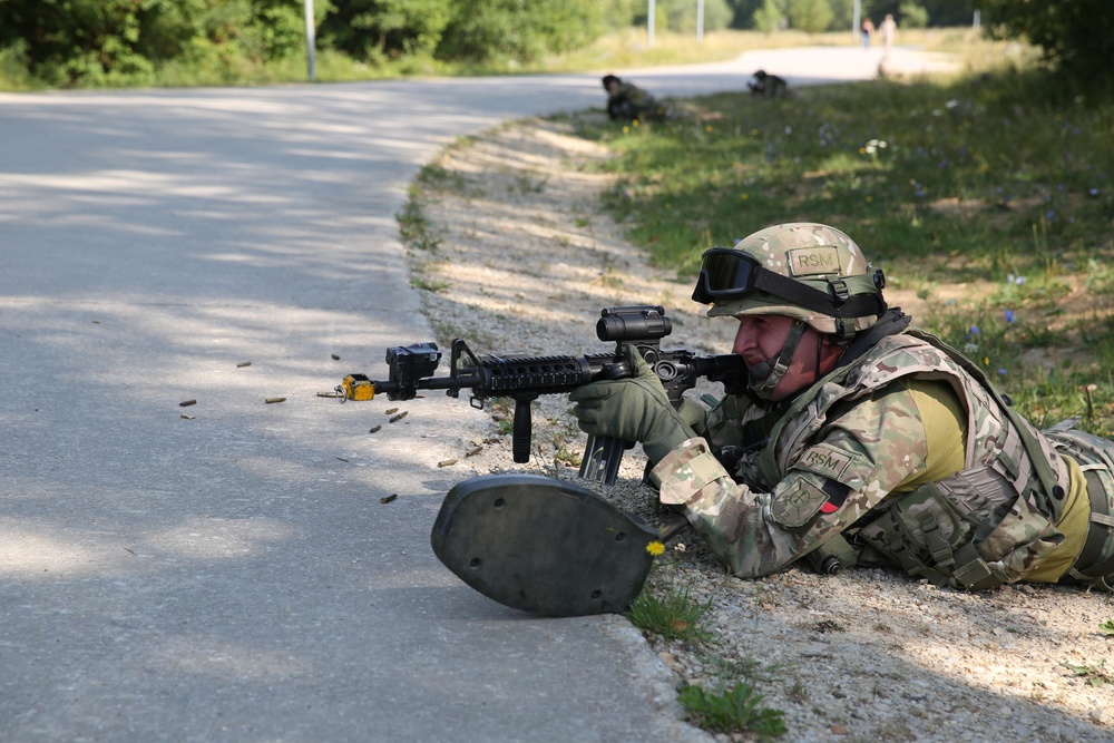 Georgian Mission Rehearsal Exercise
