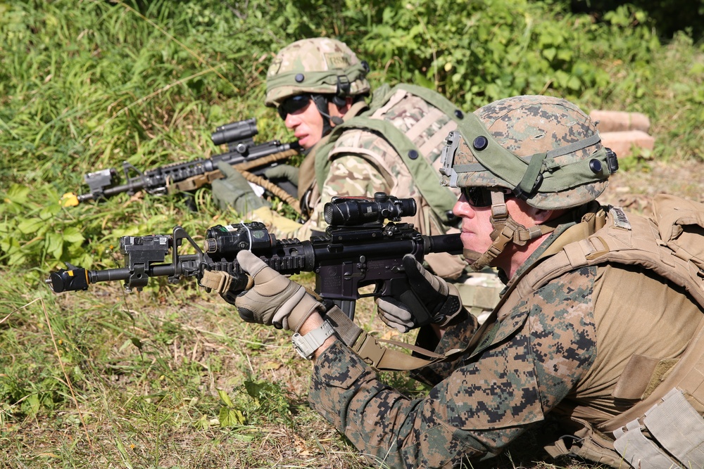Georgian Mission Rehearsal Exercise