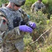 Detecting and removing unexploded ammunition