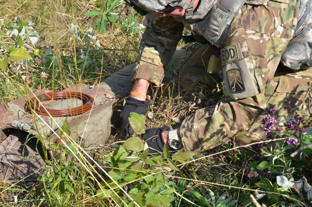 Detecting and removing unexploded ammunition