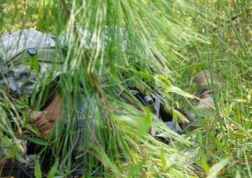 NCO of the Year proves merit is more than just a title