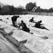 Workers covering small plants with plastic sheeting - Tunisia
