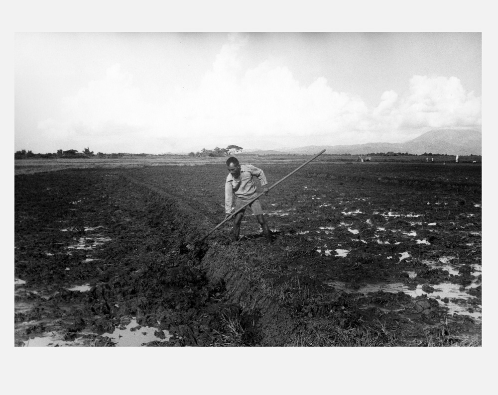 Farmer prepares soil for planting - Philippines