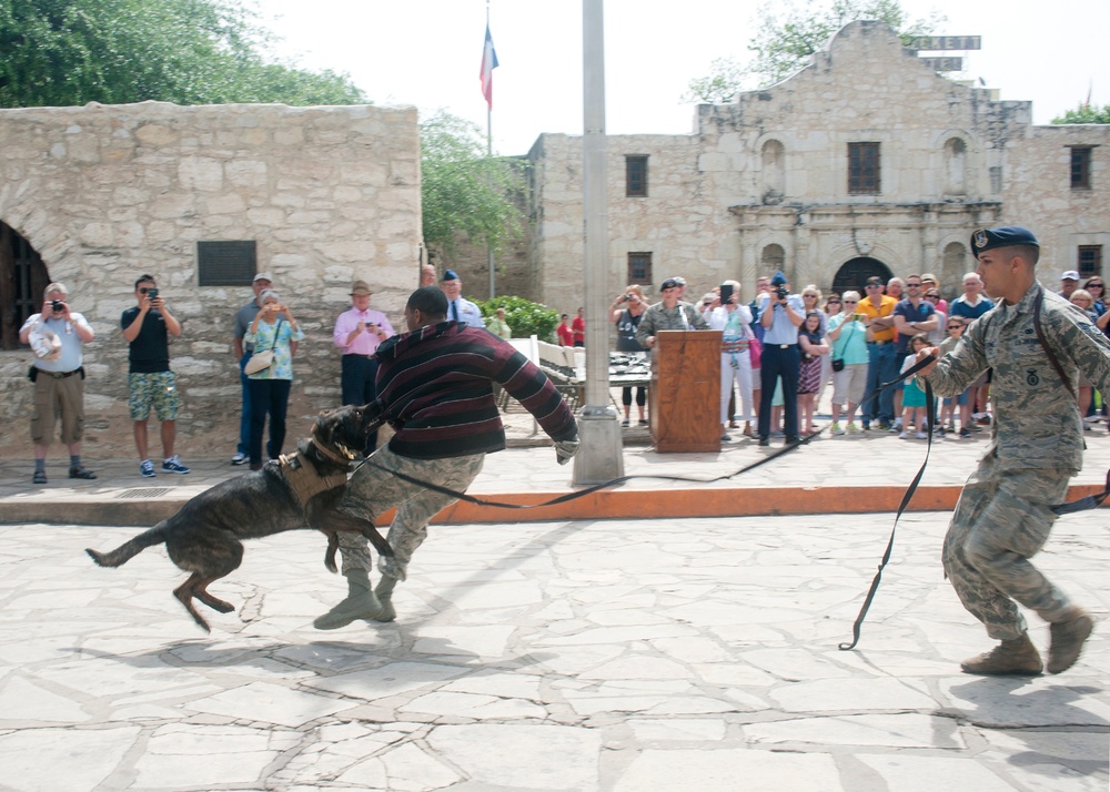 Air Force at the Alamo