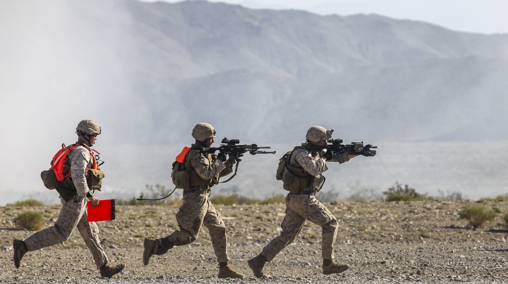 Animal Company showcases urban combat proficiency