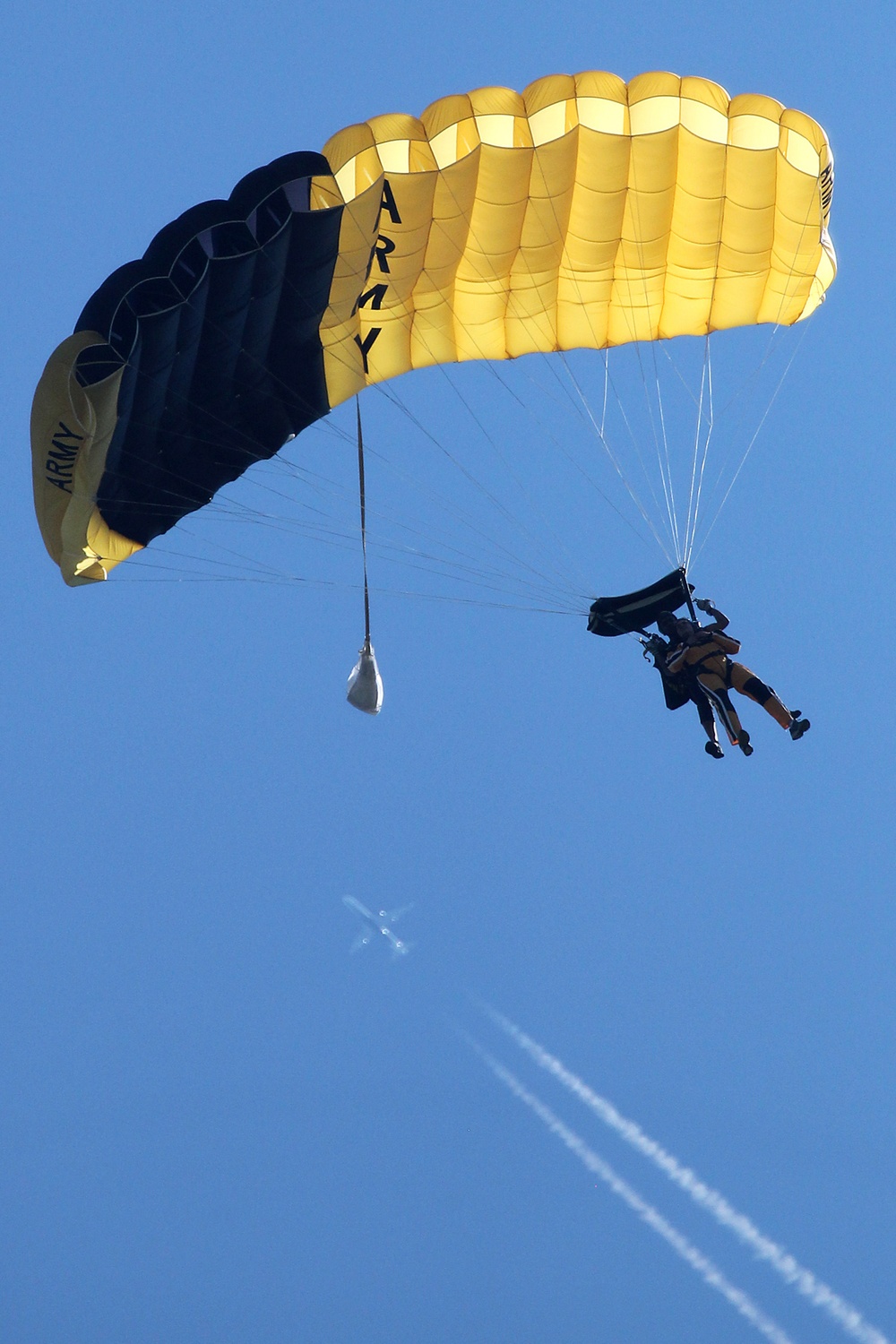 Illinois lieutenant governor jumps with US Army 'Golden Knights' parachute team