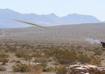 Feel the sting with 3rd LAAD Bn.