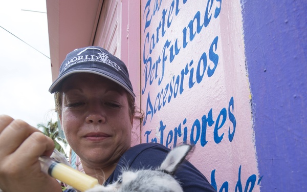 Continuing Promise 2015