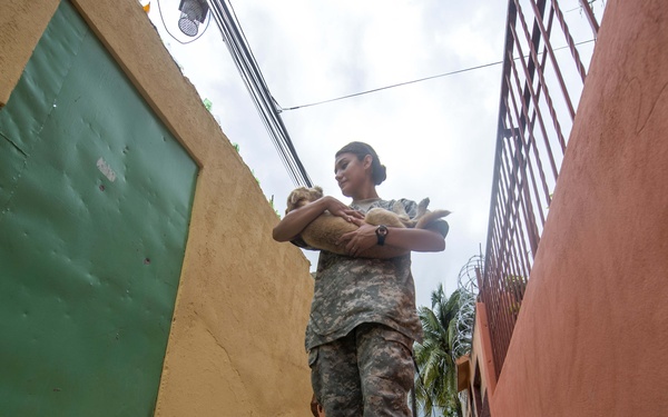 Continuing Promise 2015