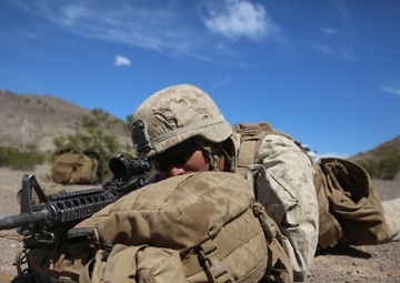 2nd MEB, Coalition partners execute Large Scale Exercise 15