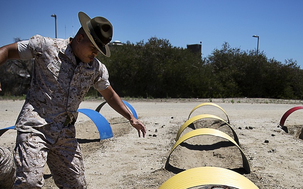 A U.S. Marine drill instructor wearing a campaign cover (drill sergeant hat) oversees recruits crawling through a low-crawl obstacle course on a sandy training field. The recruits, wearing camouflage uniforms and helmets, are navigating under colorful curved corrugated tunnel arches arranged in rows. The setting appears to be a military training base under clear blue skies.