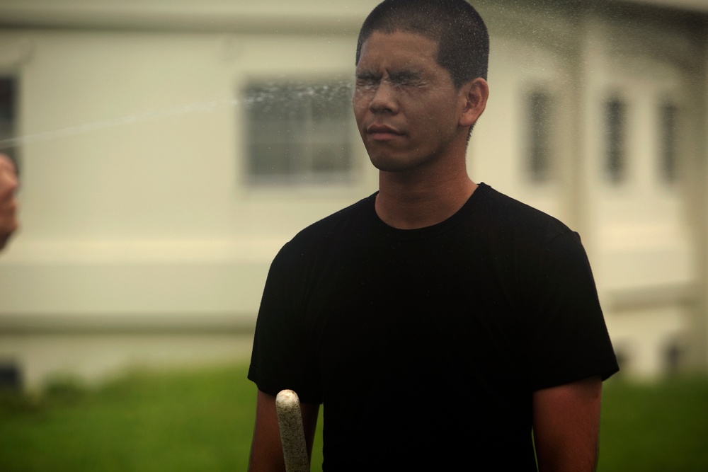JSG complete nonlethal weapons and OC spray training