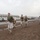 U.S. Marines stay fit in Djibouti