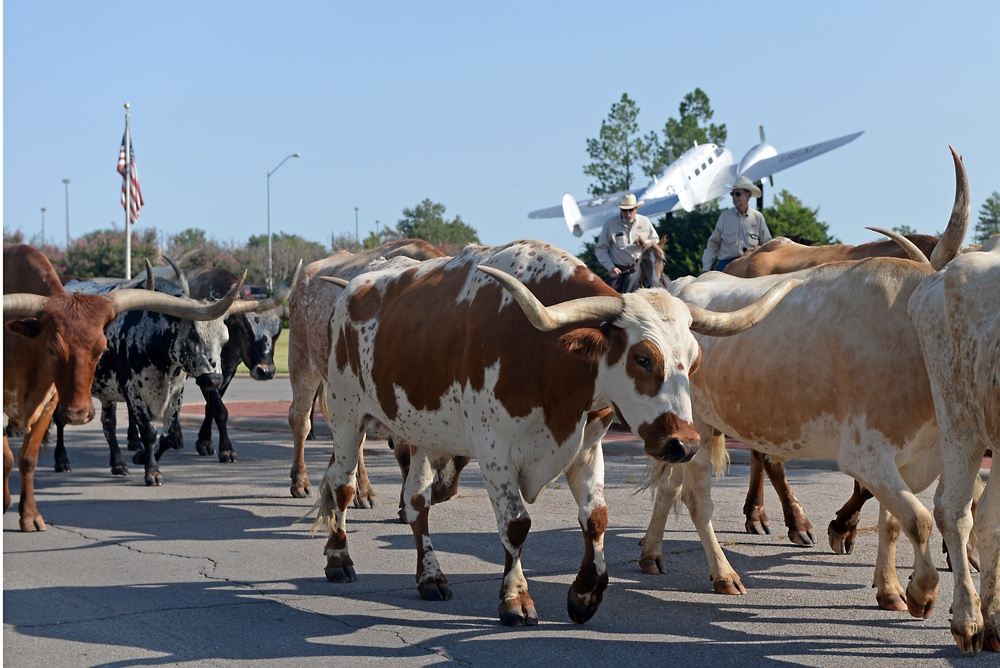 17th annual Cattle Drive makes its way through Altus Air Force Base