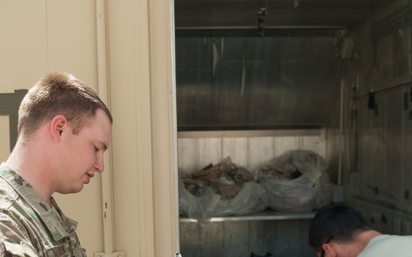 '1000s of Hands' project: KAF CMRE