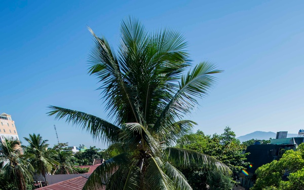 Pacific Partnership 2015 Navy, Air Force engineers refurbish restrooms at City of Hope children's center in Vietnam