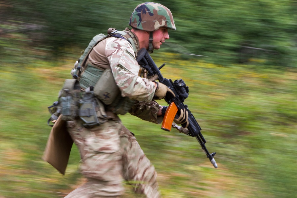 Paratroopers and Ukrainian national guard soldiers conduct squad live-fire training