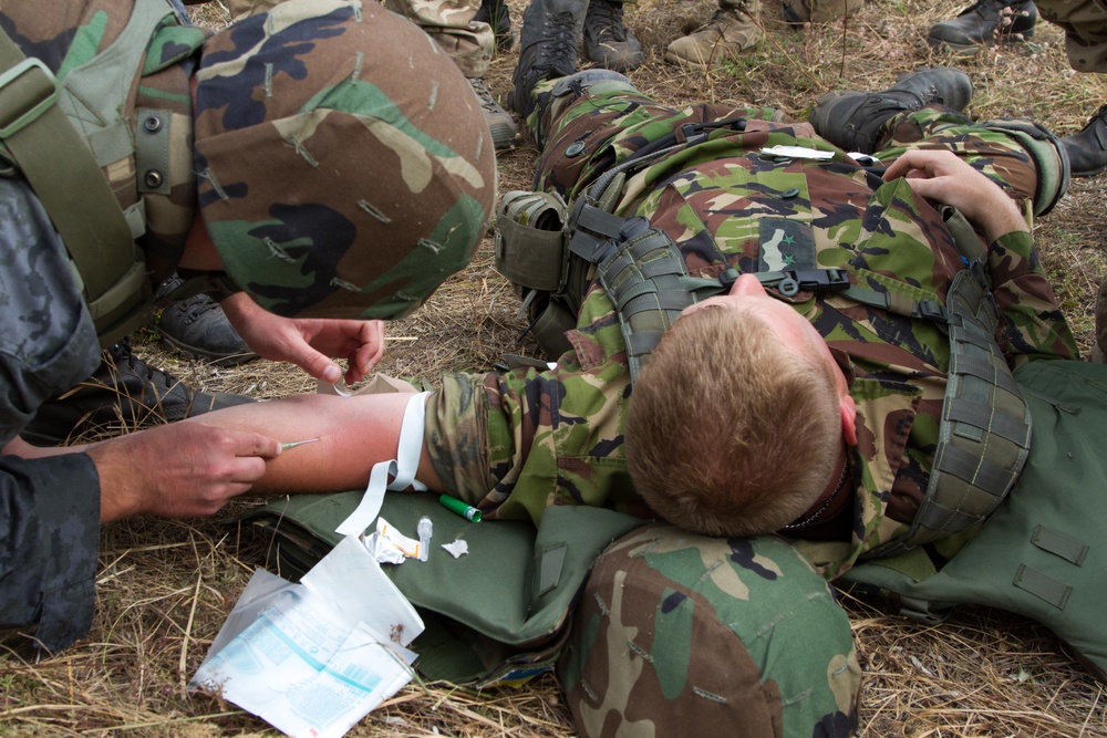 Paratroopers and Ukrainian national guard soldiers conduct squad live-fire training