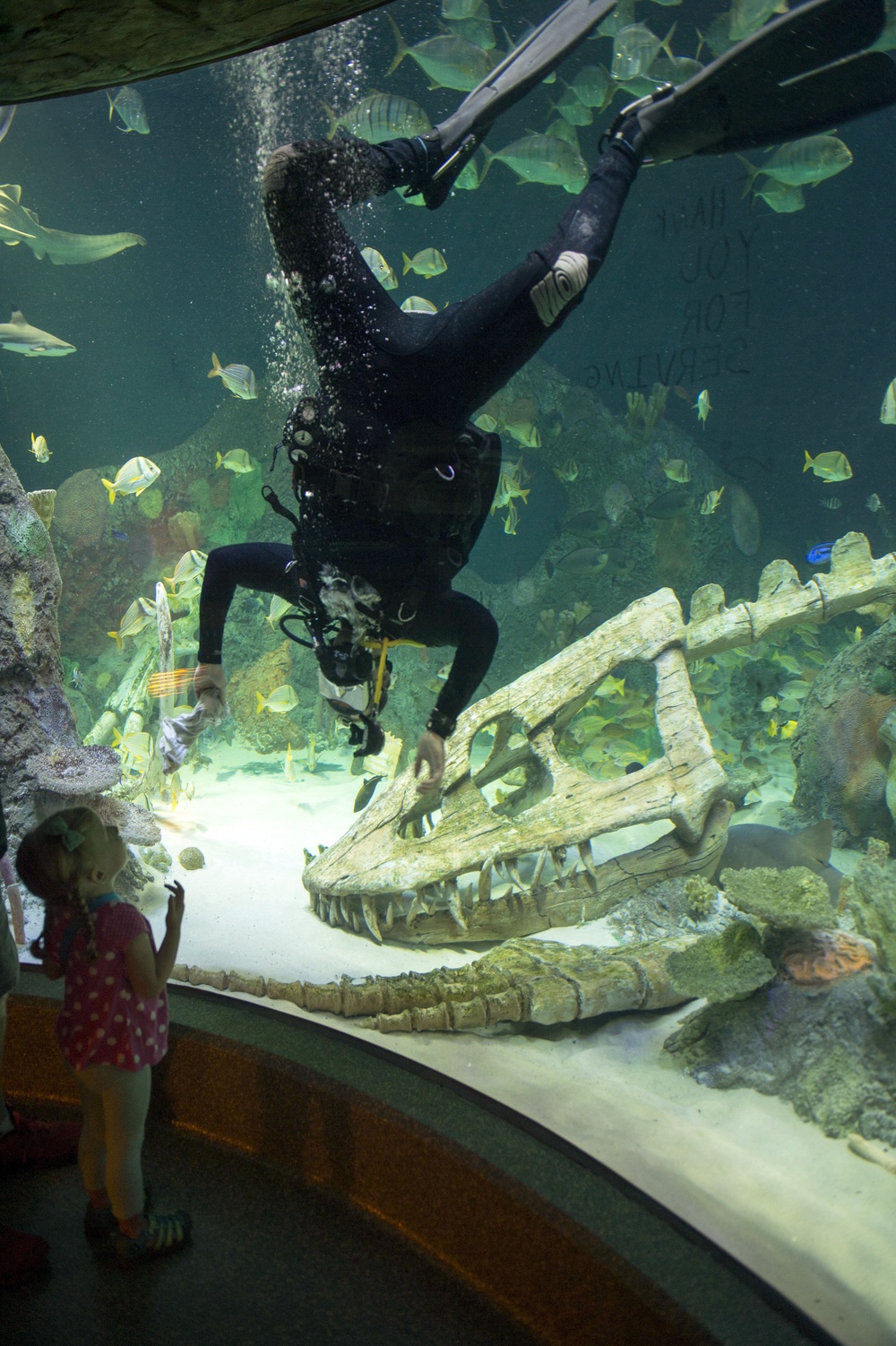 EOD Sailors dive at Kansas City Sea Life Aquarium