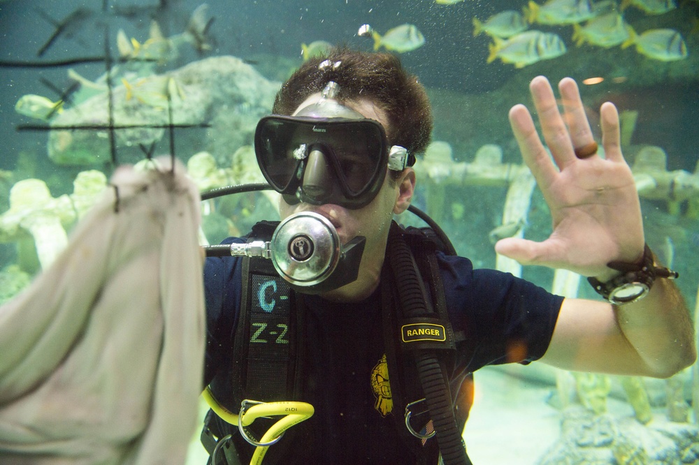 EOD Sailor dives at Kansas City Sea Life Aquarium