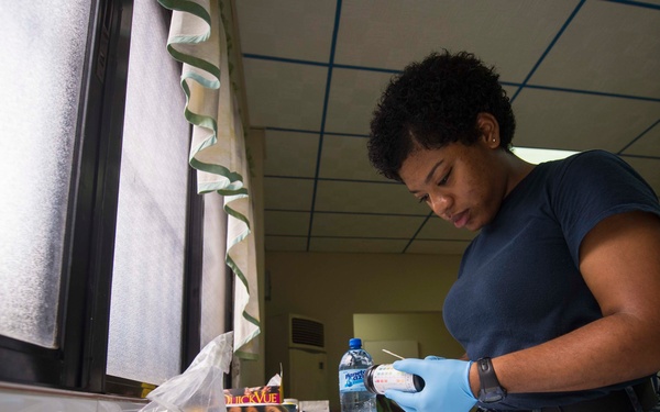 Continuing Promise 2015