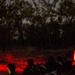 U.S. Marines and Australian soldiers conduct night helicopter training