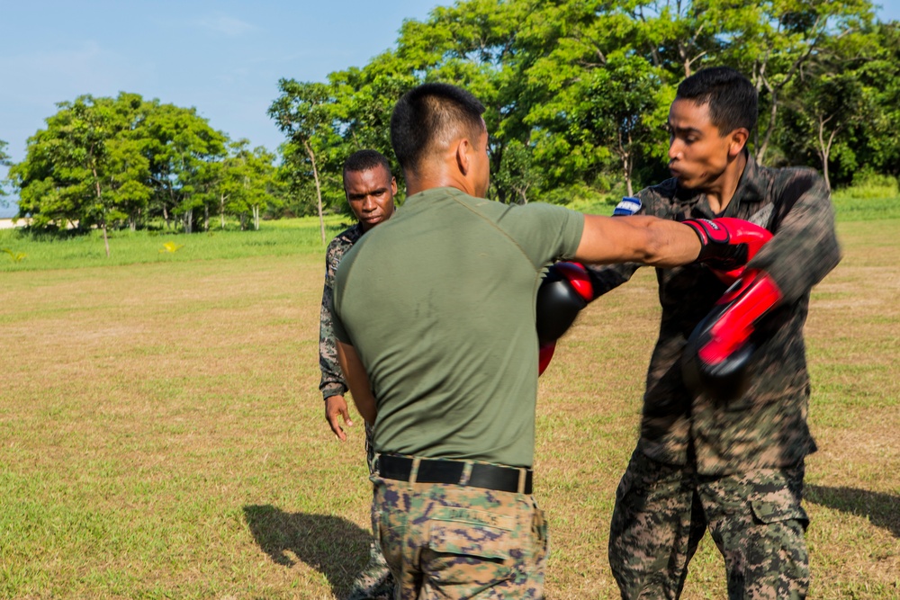 Honduran forces get taste of Marine training