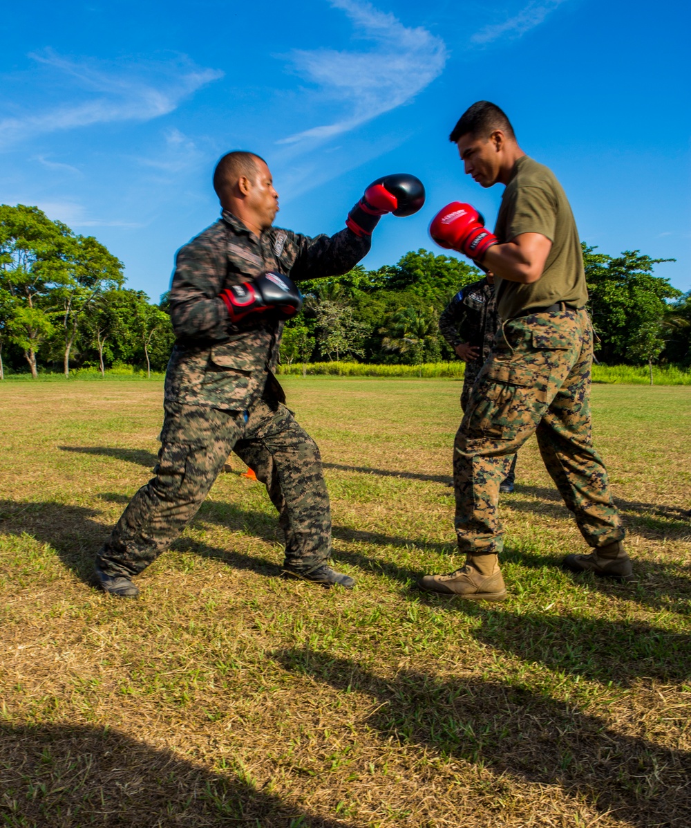 Honduran forces get taste of Marine training