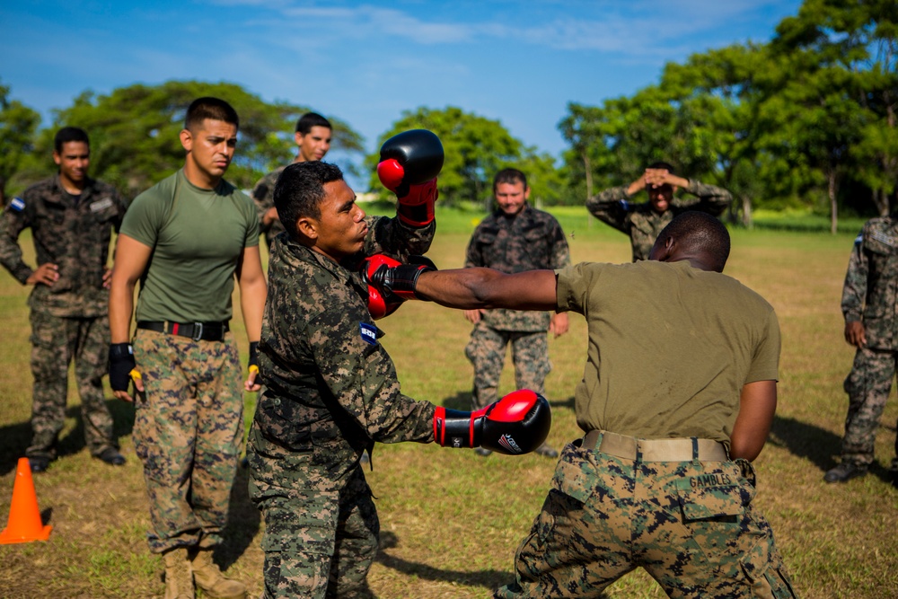 Honduran forces get taste of Marine training