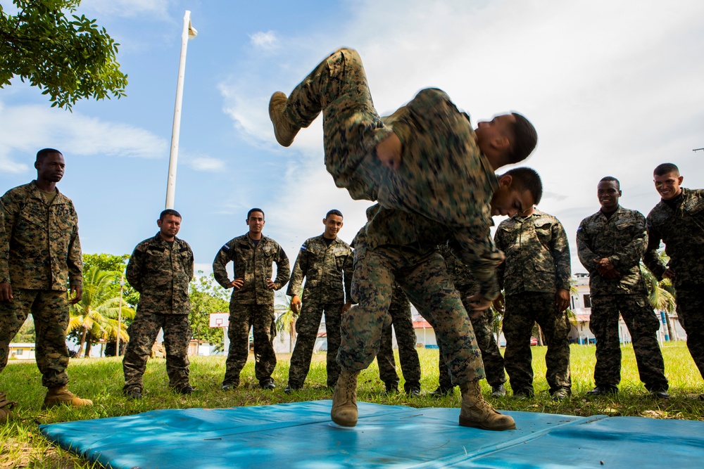 Honduran forces get taste of Marine training