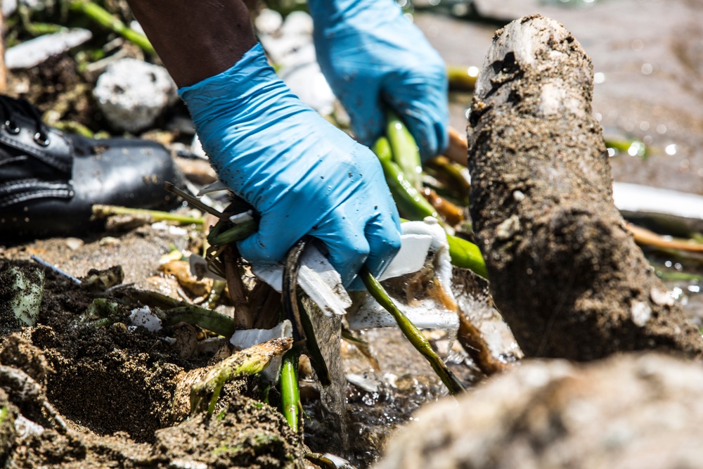Dominican Republic: Beach clean up