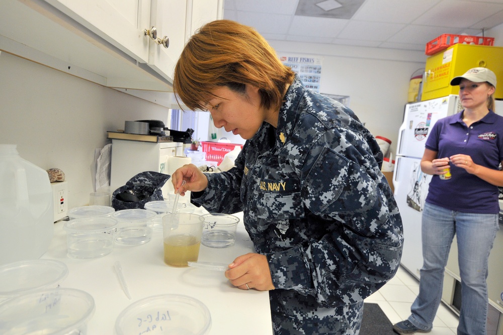 Navy entomologists visit Keys to test mosquito control technology