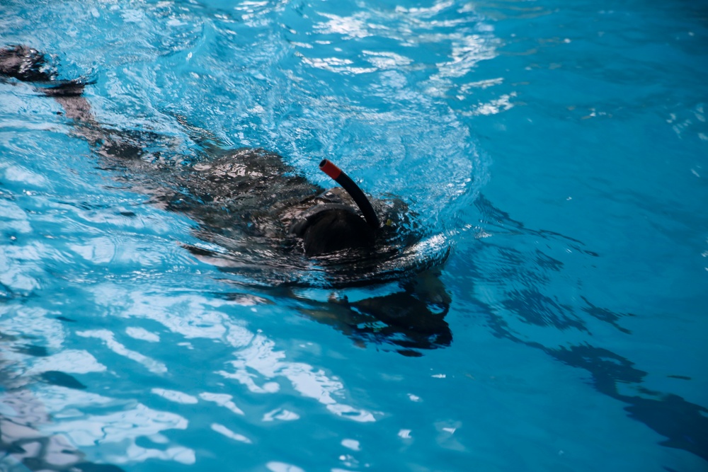 2nd Recon Bn. prepares for Marine Combatant Diver Course