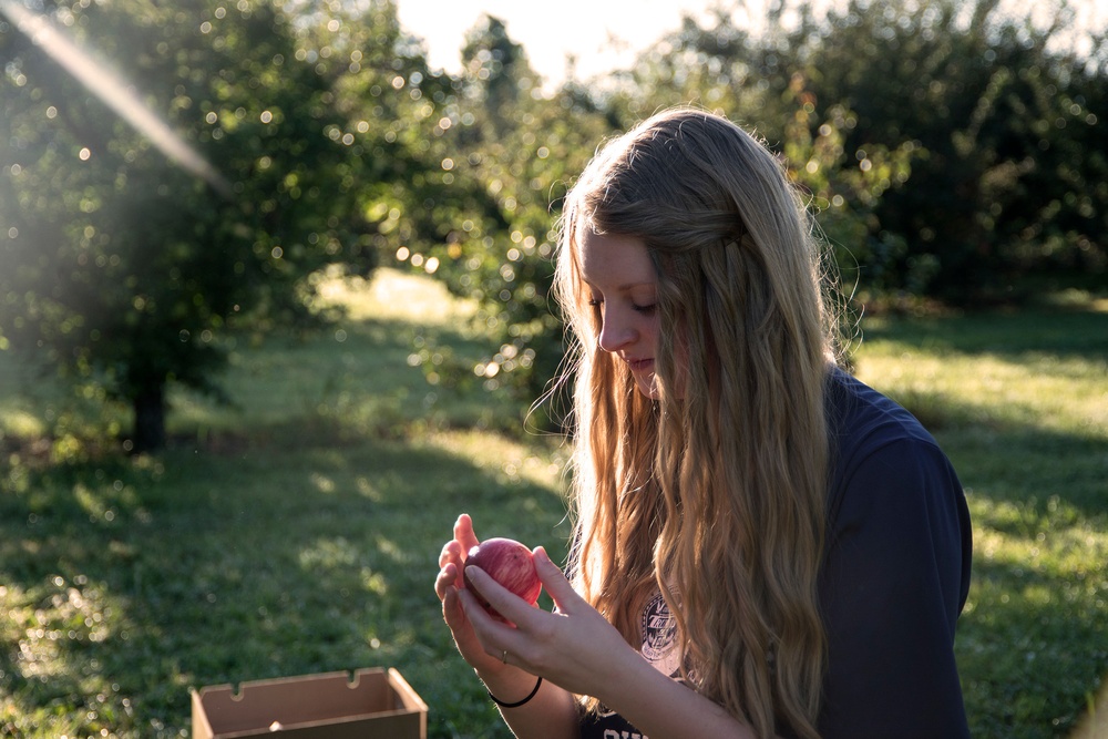 USS Harry S. Truman action