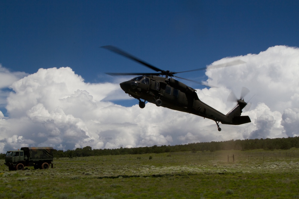 New Mexico National Guard units conduct Joint Training Exercise