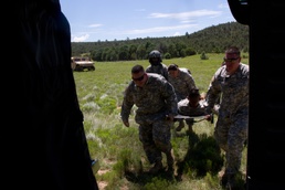 New Mexico National Guard units conduct Joint Training Exercise