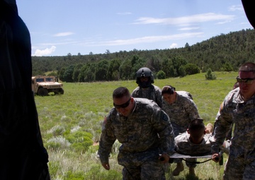 New Mexico National Guard units conduct Joint Training Exercise